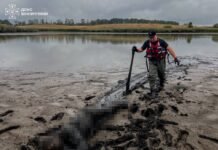 На Вінниччині у спущеному ставку знайшли тіло чоловіка