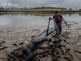 На Вінниччині у спущеному ставку знайшли тіло чоловіка
