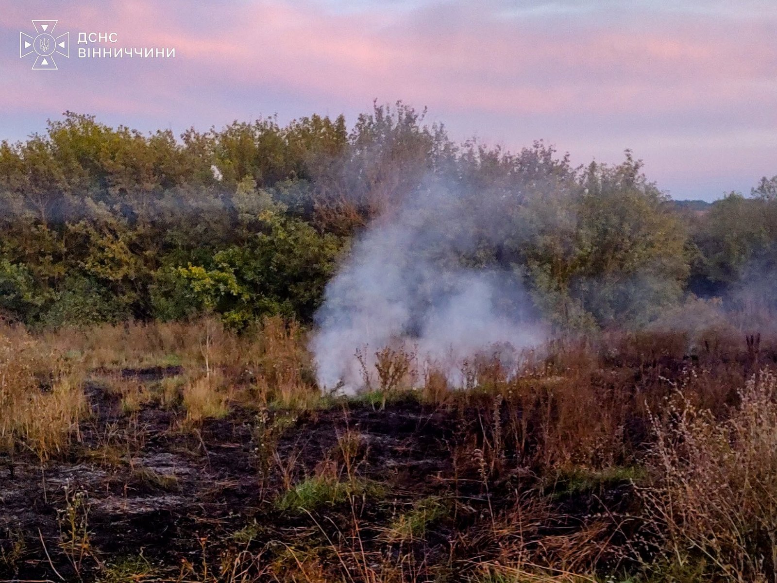 Палали авто, електрощитова та сухостій: підсумки доби від ДСНС Вінниччини