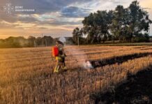 На Вінниччині через необережність з вогнем вигоріло 2 гектари землі