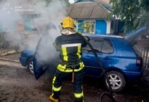 Палали авто, електрощитова та сухостій: підсумки доби від ДСНС Вінниччини