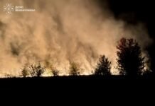 Понад 4 гектари землі вигоріли на Вінниччині через пожежі в екосистемах