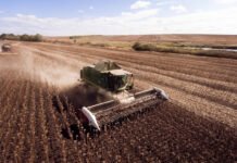 На Вінниччині триває збір пізніх культур та посів озимих