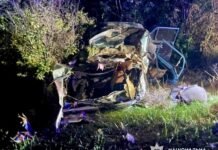 Двоє дітей загинули на місці у ДТП на Гайсинщині