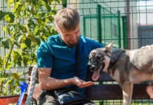 Підтримка військових і шанс для тварин: у Вінниці запустили «Хвостатий оберіг»