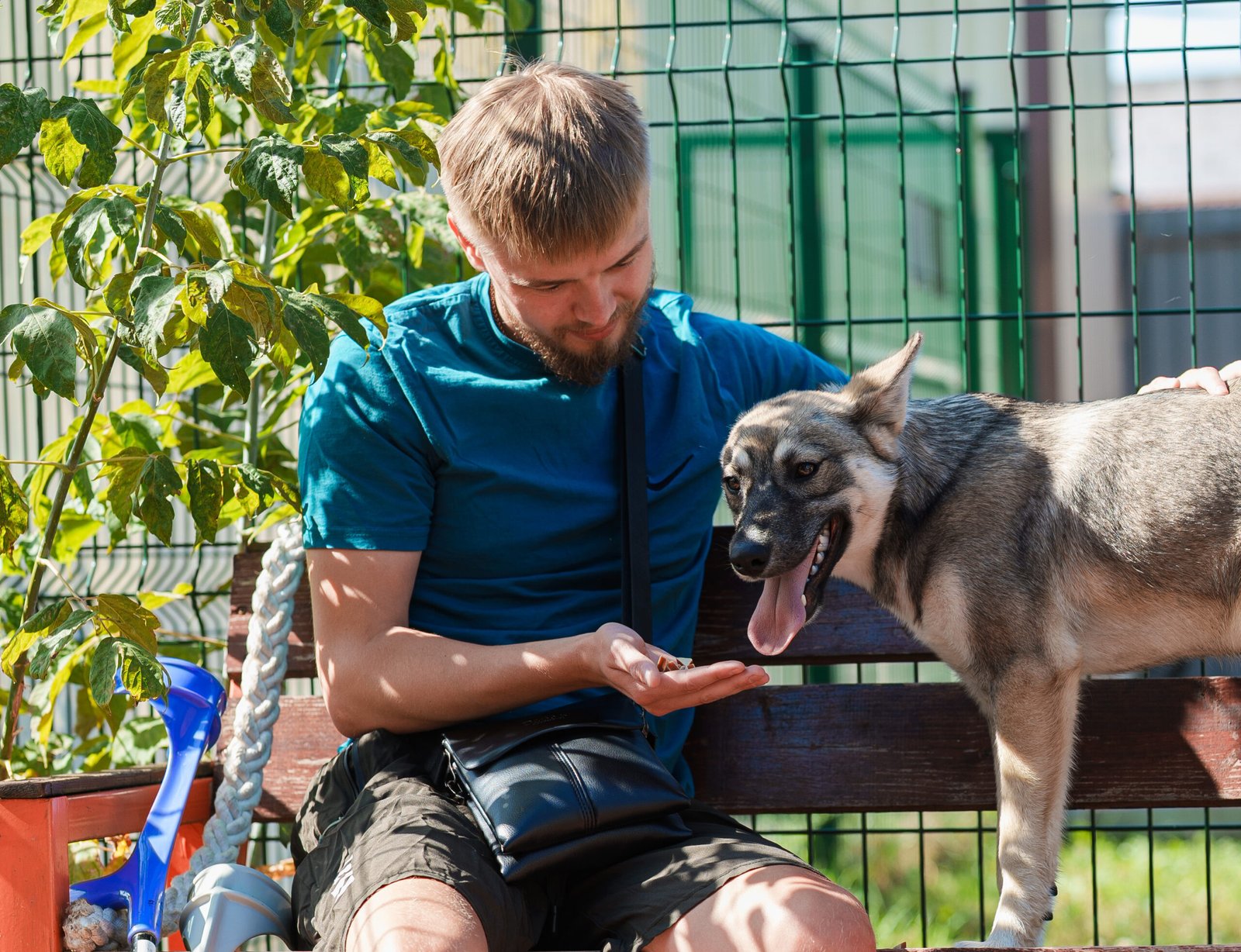 Підтримка військових і шанс для тварин: у Вінниці запустили «Хвостатий оберіг»