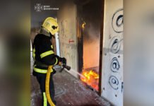 Будинки, адмінбудівля та стерня: на Вінниччині за добу ліквідували 4 пожежі