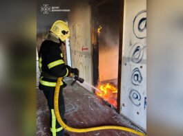 Будинки, адмінбудівля та стерня: на Вінниччині за добу ліквідували 4 пожежі