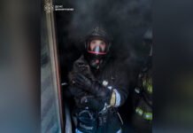 У Вінниці з палаючої квартири врятували кошеня