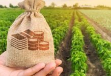 Малі агровиробники Вінниччини можуть отримати пільгові кредити до 1 мільйона гривень: як подати заявку