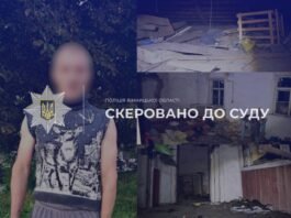 На Вінниччині судитимуть чоловіка, який намагався викрасти 7-річну дівчинку
