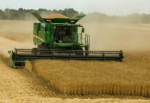 На Вінниччині аграрії обмолотили понад 50% посівних площ та намолотили 2,5 мільйони тонн зерна