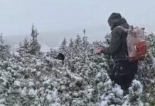На Говерлі врятували 26-річного туриста з Вінниччини