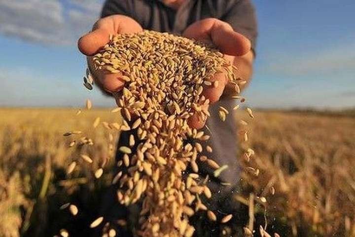 Понад 2,5 млн тонн зерна: на Вінниччині підбили підсумки збору врожаю на початок жовтня