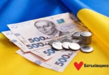 Олег Мейдич: бюджет країни на 2027 рік пропонує людям виживати на копійки