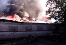 На Вінниччині горів склад із 300 тоннами зерна