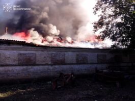 На Вінниччині горів склад із 300 тоннами зерна