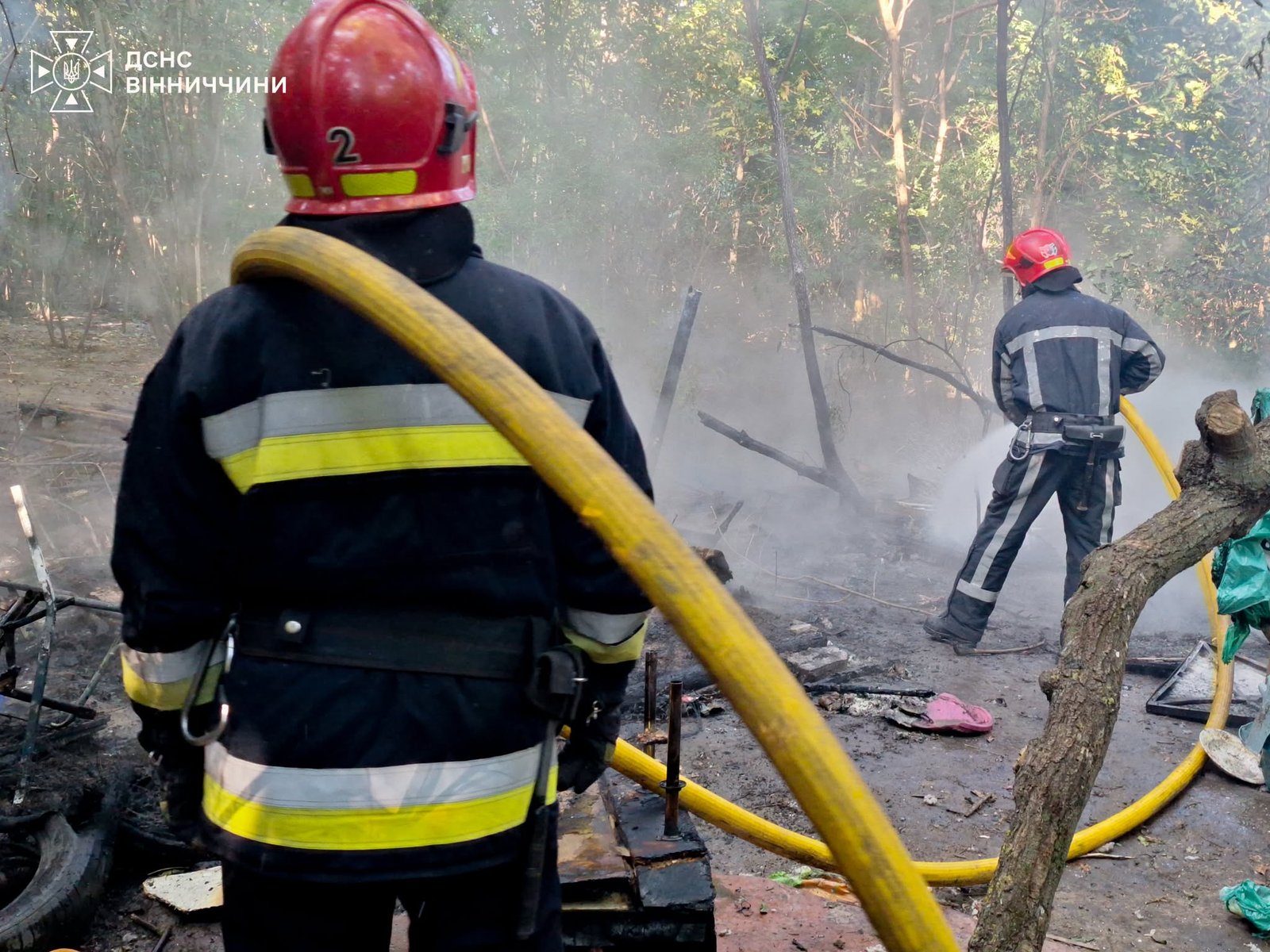 У Вінниці під час пожежі врятували 35 собак: одна тварина загинула