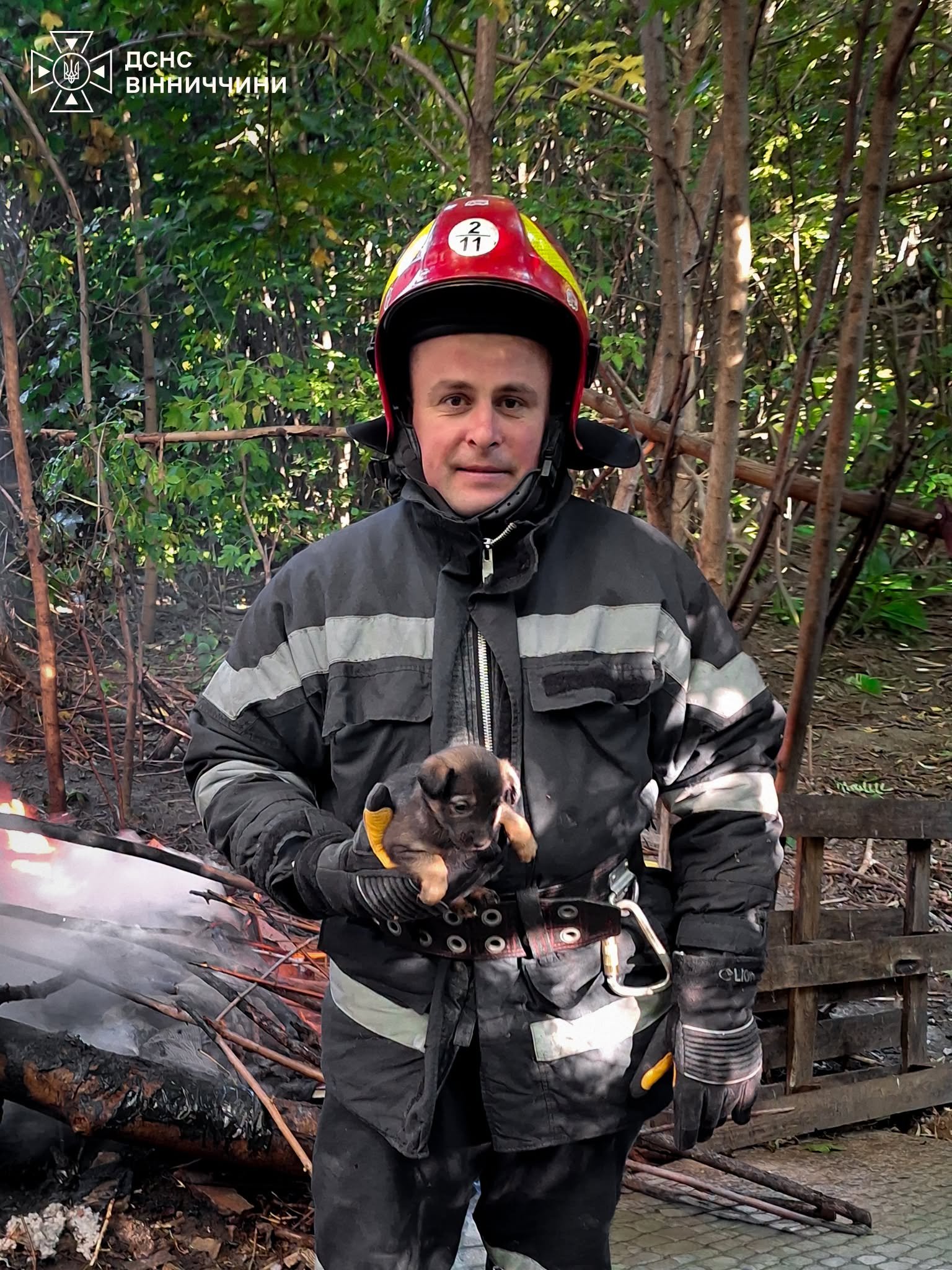 У Вінниці під час пожежі врятували 35 собак: одна тварина загинула