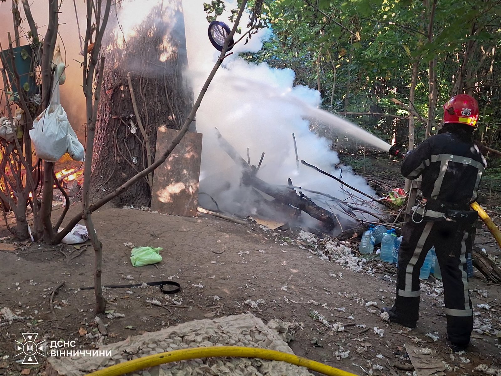 У Вінниці під час пожежі врятували 35 собак: одна тварина загинула