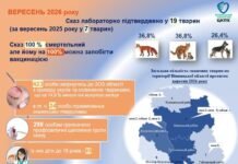 Ситуація зі сказу на Вінниччині залишається напруженою