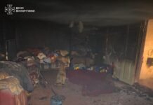 На Вінниччині 33 людини загинули через необережне поводження з вогнем