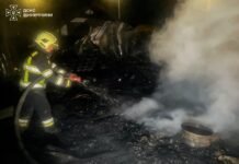П’ять тонн соняшника знищила пожежа на Вінниччині