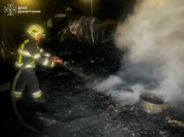 П’ять тонн соняшника знищила пожежа на Вінниччині