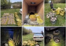На Вінниччині чоловік наловив понад 100 кг риби: збитки перевищили 311 тисяч гривень