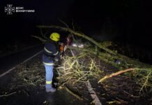 Негода наробила шкоди на Вінниччині: рятувальники п’ять разів виїжджали на виклики