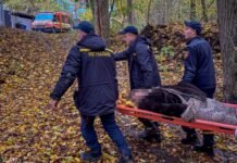 Пішла по гриби й не повернулася додому: у П’ятничанському лісі шукали 67-річну вінничанку