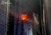 Пожежі у трьох громадах Вінниччини: що відомо про наслідки