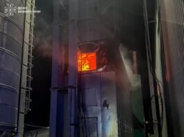 Пожежі у трьох громадах Вінниччини: що відомо про наслідки