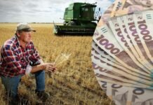 На Вінниччині 16 аграріїв отримають кредити під 6% річних