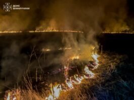 На Вінниччині через людську недбалість спалахнули три пожежі