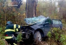 На Вінниччині в смертельній ДТП загинули водій та 16-річний пасажир