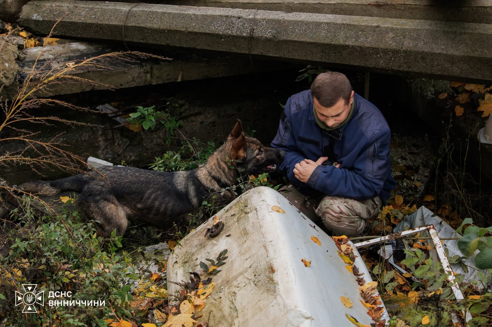 У Вінниці службові собаки вчилися шукати людей під техногенними завалами