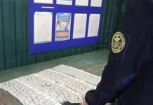 На кордоні з Молдовою у чоловіка виявили незадекларовану валюту майже на 1,5 млн грн