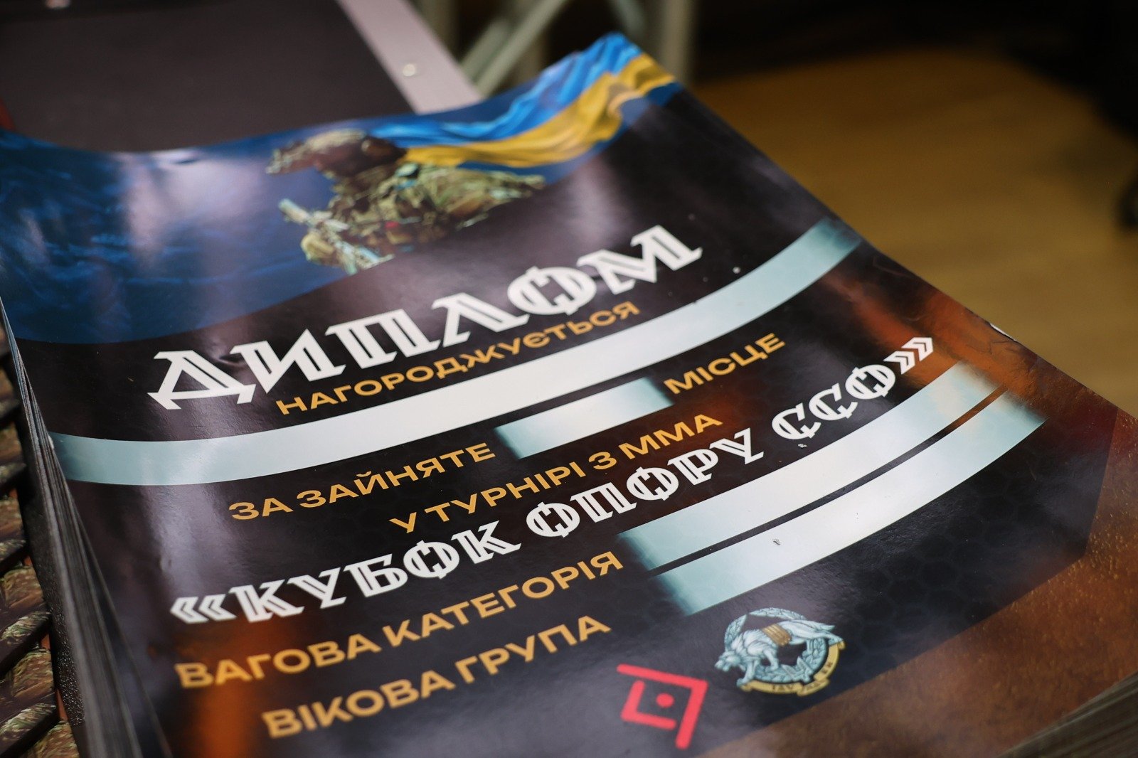 Єдиноборства, патріотизм і підтримка ЗСУ: у Вінниці відбувся турнір із ММА