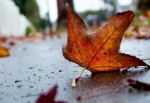 Погода у Вінниці 27 жовтня: дощ затримається майже на весь день
