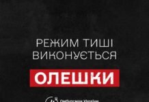 Режим тиші в Олешках виконується в повному обсязі: подробиці гуманітарної місії від Уповноваженого з прав людини